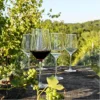 Copas Vino Seq 620ml Set 6Pzs