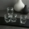 5(29) 48 pzs. Tequilero Groove 40 ml
